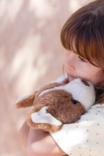 Peluche - Corgi Bernie – Image 3