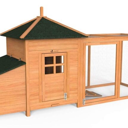 Grand poulailler en Bois avec Pondoir et Perchoir
