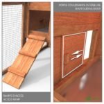 Poulailler en Bois avec Pondoir et Perchoir Accueillant 2 Poules – Image 4