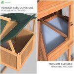Poulailler en Bois XL avec Pondoir et Perchoir – Image 4